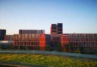 闵行区专业艺术指导正规