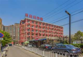 洋河纯粮食酒排名